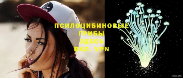 твердый Богородицк