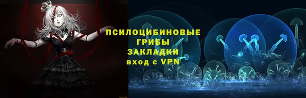 твердый Богородицк