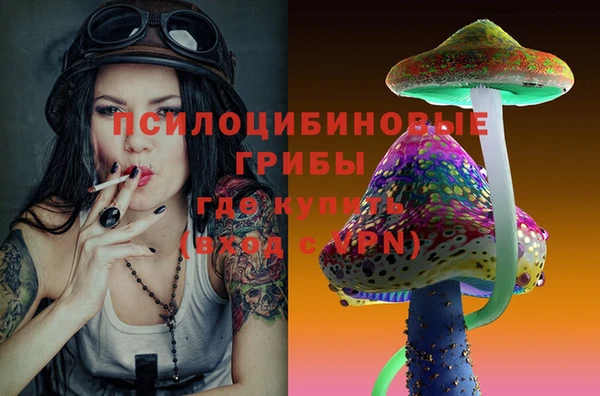 не бодяженный Богданович