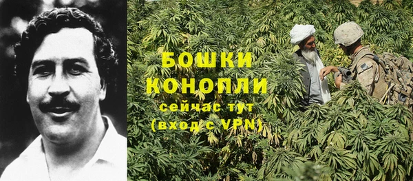 не бодяженный Богданович