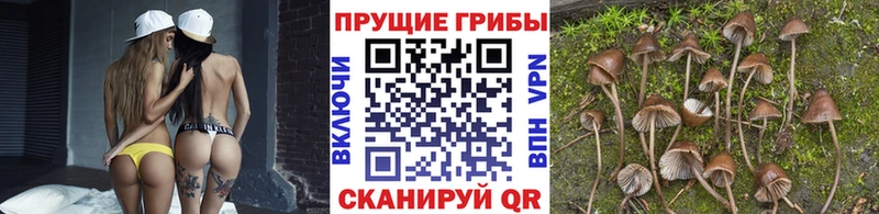Купить  Миньяр  Галлюциногенные грибы мухоморы 
